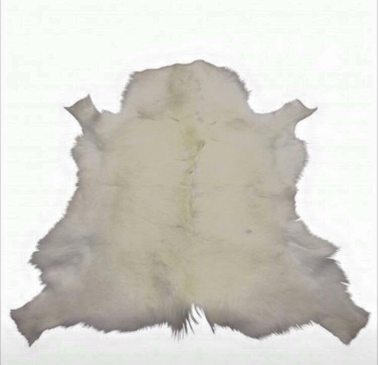 Arctic-White-Reindeer-Rug.jpg Arctic White Reindeer Rug