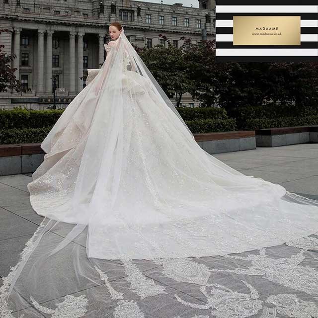 Gorgeous-Dubai-Arabic-Luxury-Bridal-Gown1d Gorgeous Dubai Arabic Luxury Bridal Gown