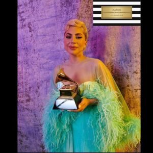 Lady Gaga Grammys Ceremony Dress